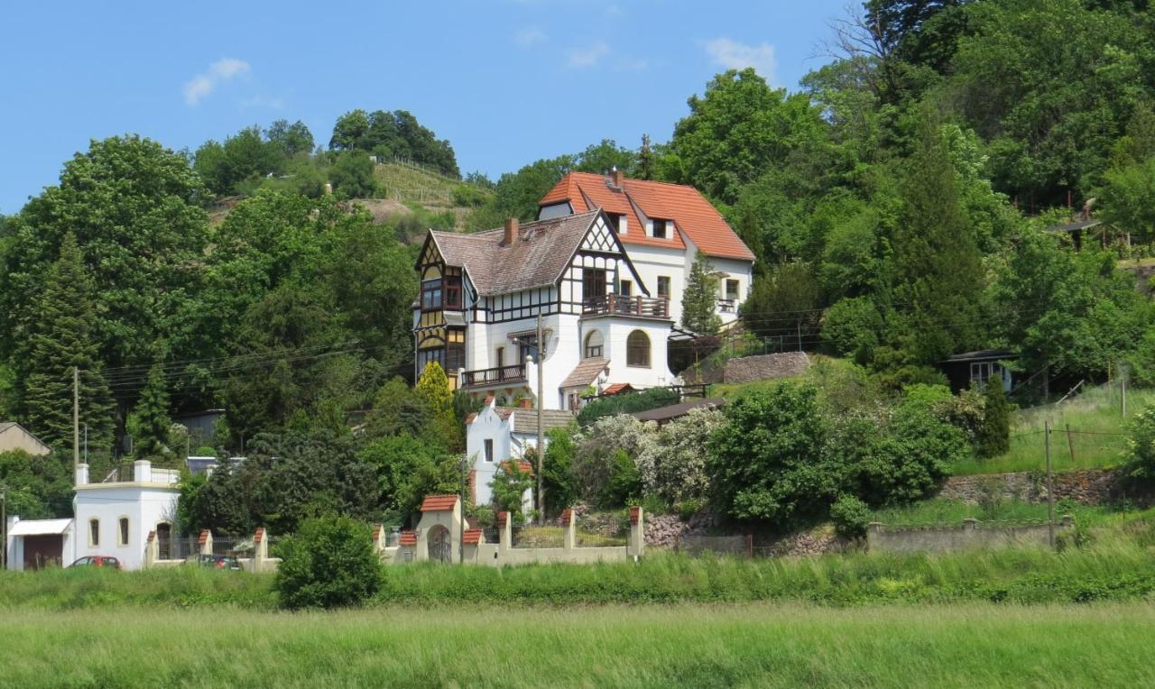 Ferienwohnung Elbsommer Am Weinberg Meißen Εξωτερικό φωτογραφία