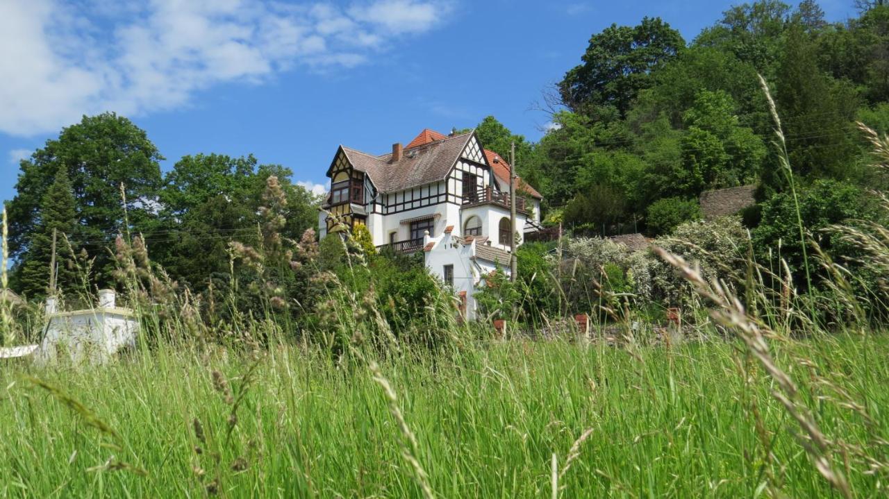 Ferienwohnung Elbsommer Am Weinberg Meißen Εξωτερικό φωτογραφία